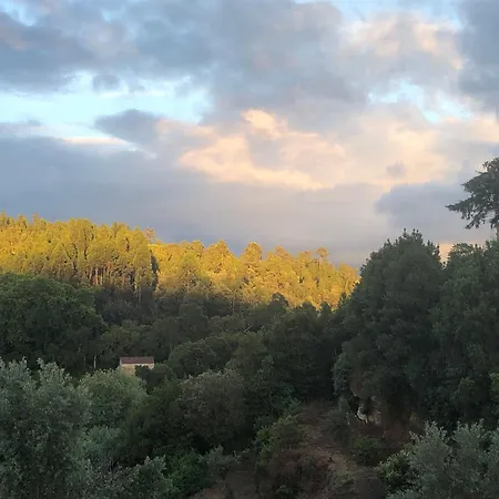 Casa Do Moinho Rural Retreat *